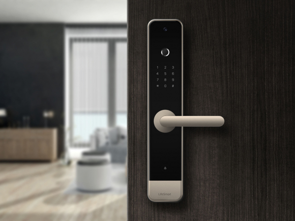 smart door lock