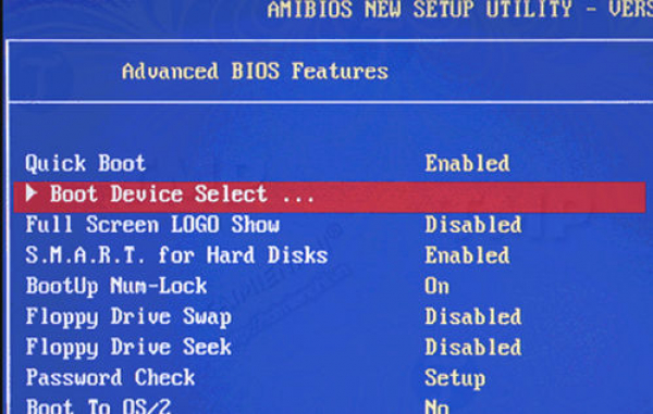 Changing Boot Order in BIOS