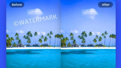 The 5 Best Free Online Video Watermark Removal Tools